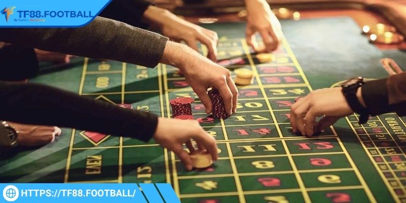 Có chiến lược cụ thể khi đặt cược